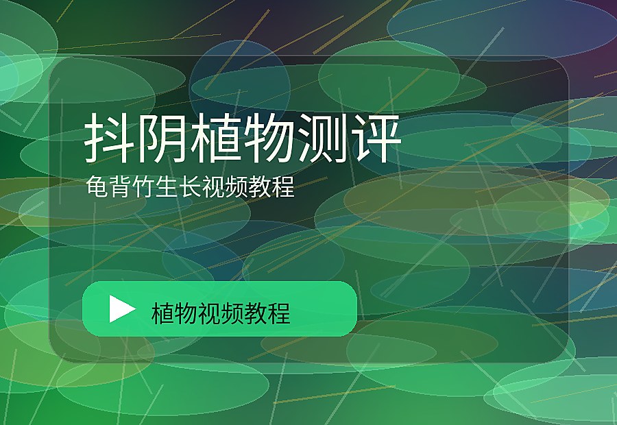 智绘绿影