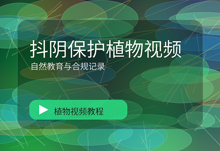 智绘绿影
