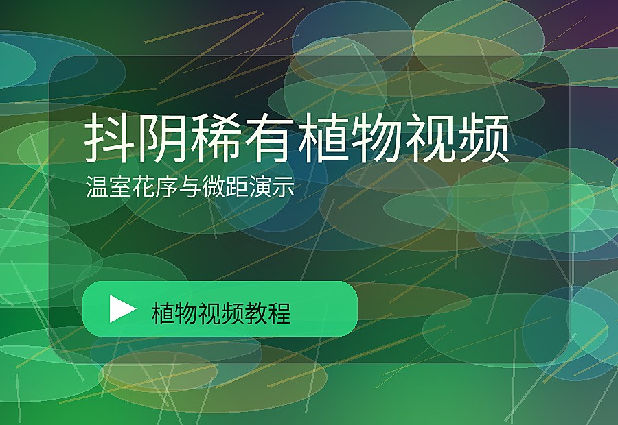 智绘绿影
