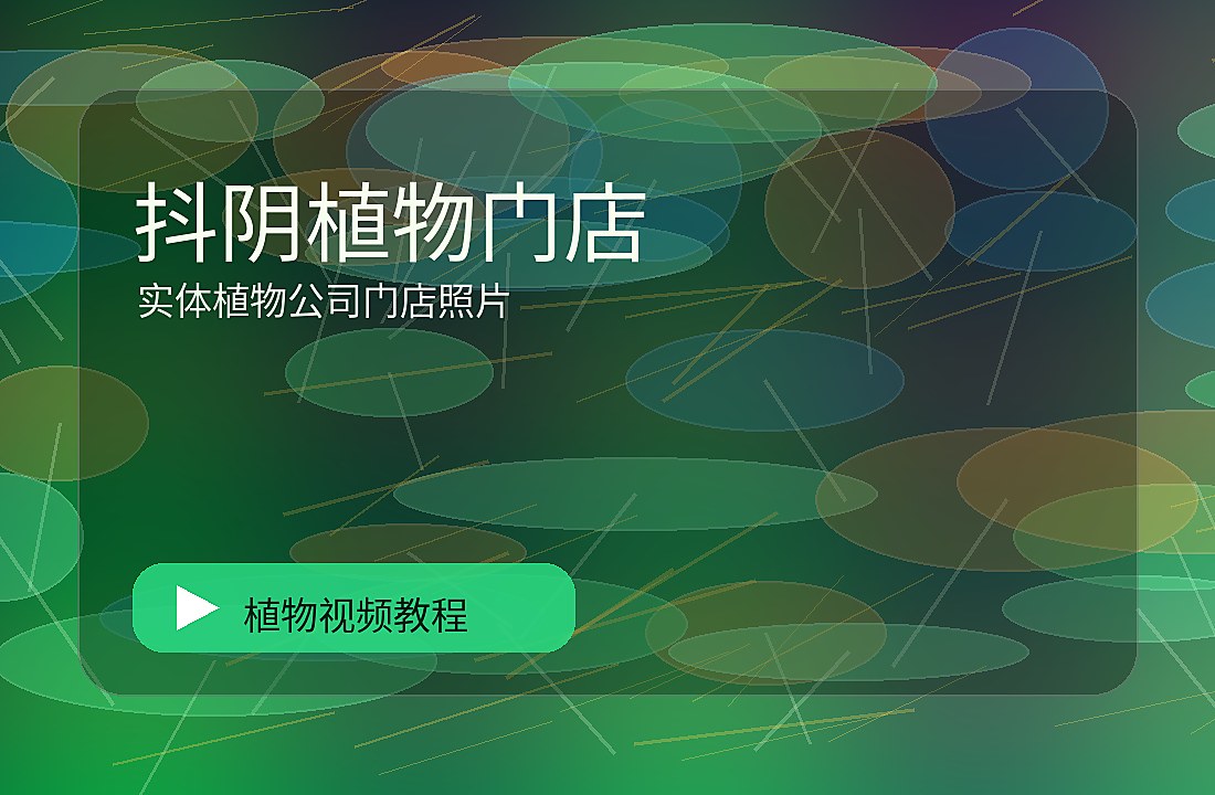 智绘绿影